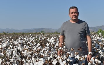 12.10.2023  “A Challenging Season Awaits Cotton Producers” by Condur