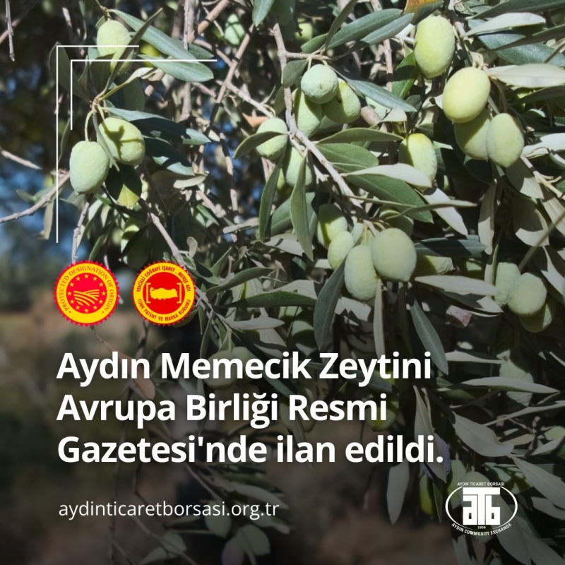 15.11.2024 Aydın Ticaret Borsası Tarafından Başvurusu Yapılan Aydın Memecik Zeytini, Avrupa Birliği Resmi Gazetesi’nde  İlan Edildi